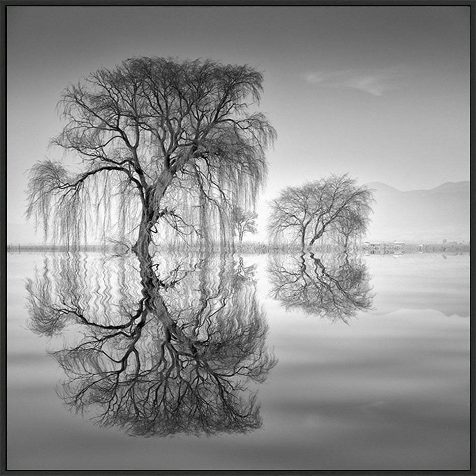 canvas_frame