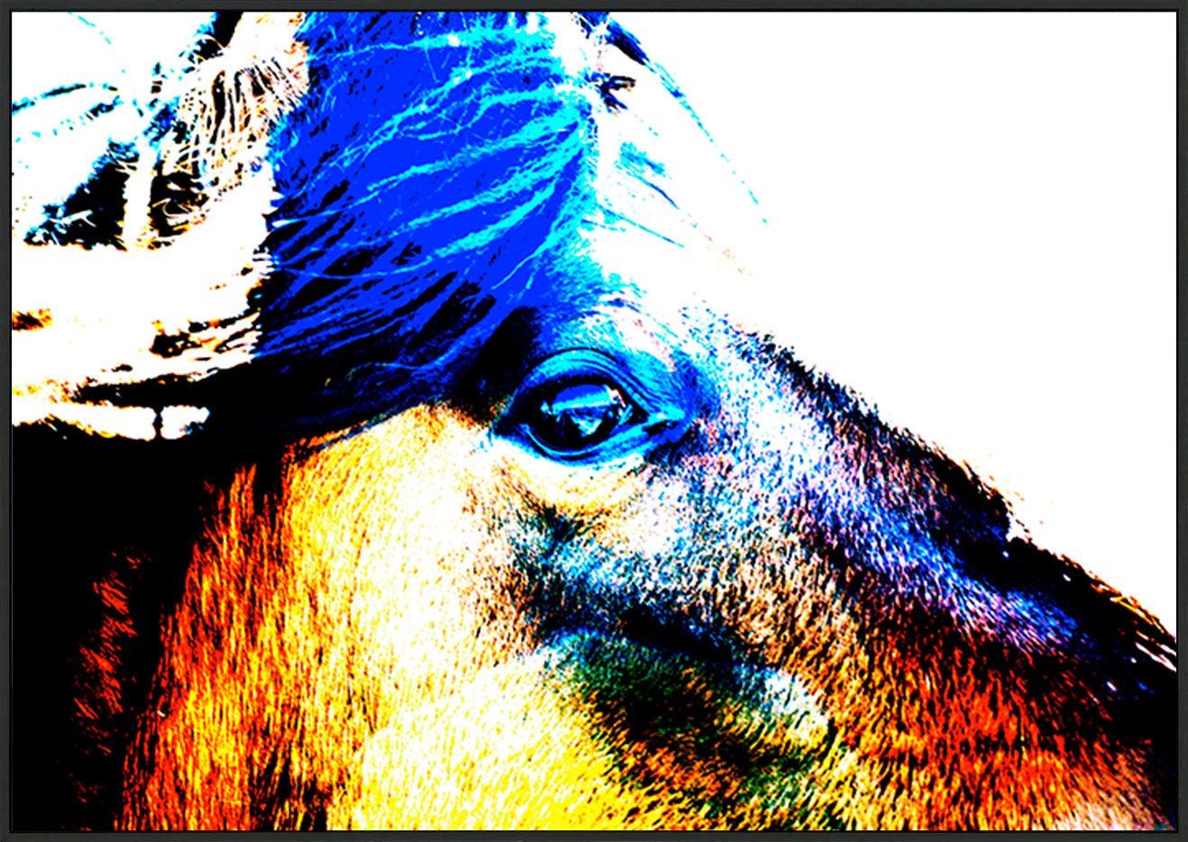 canvas_frame