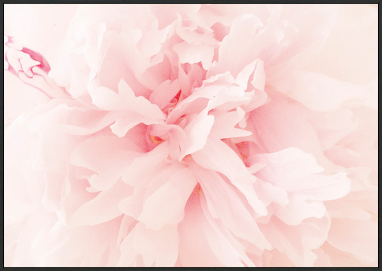 canvas_frame