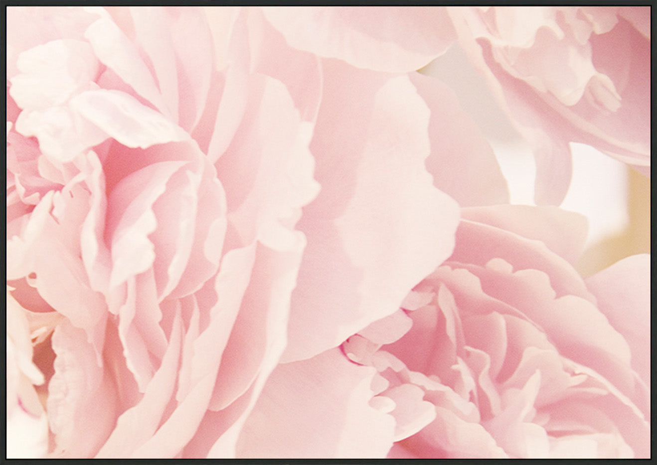 canvas_frame
