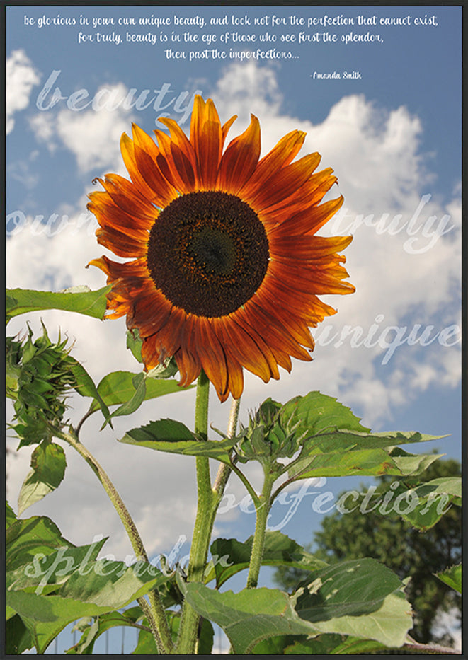 canvas_frame