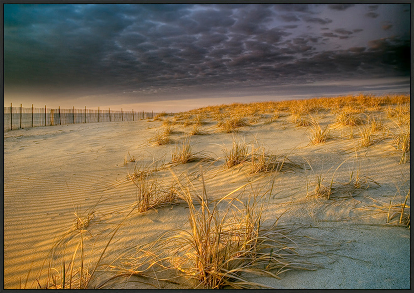 canvas_frame