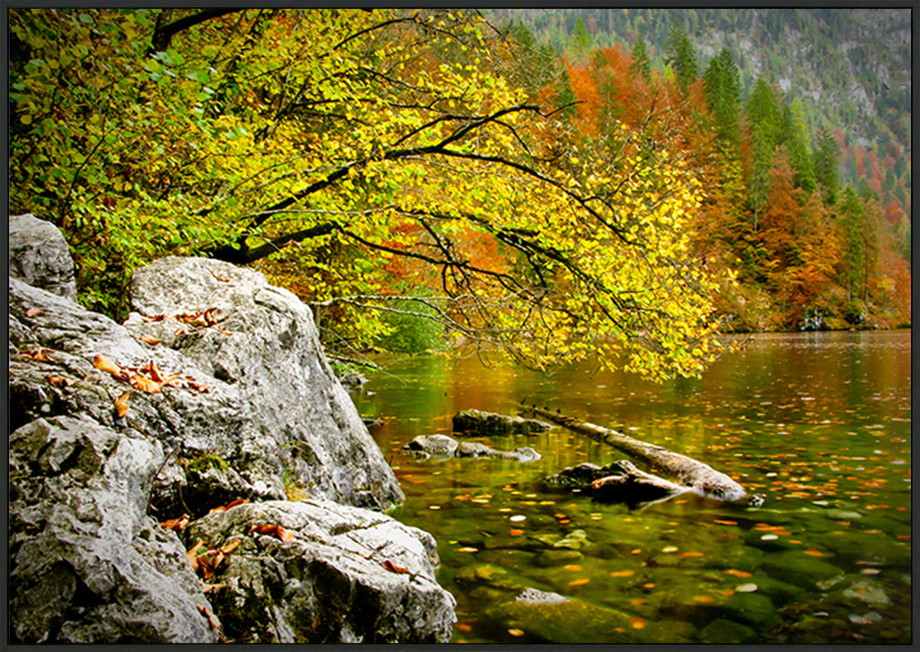canvas_frame