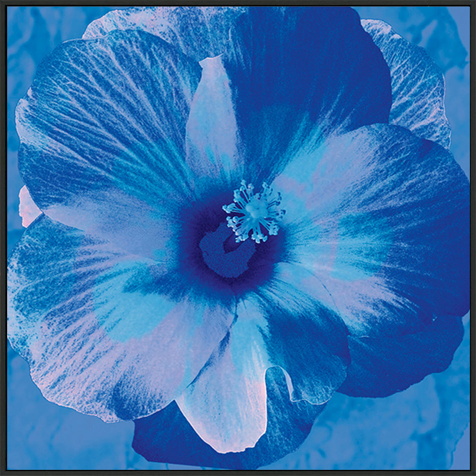 canvas_frame