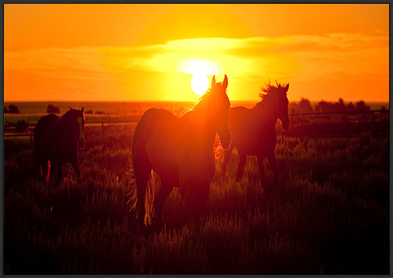 canvas_frame