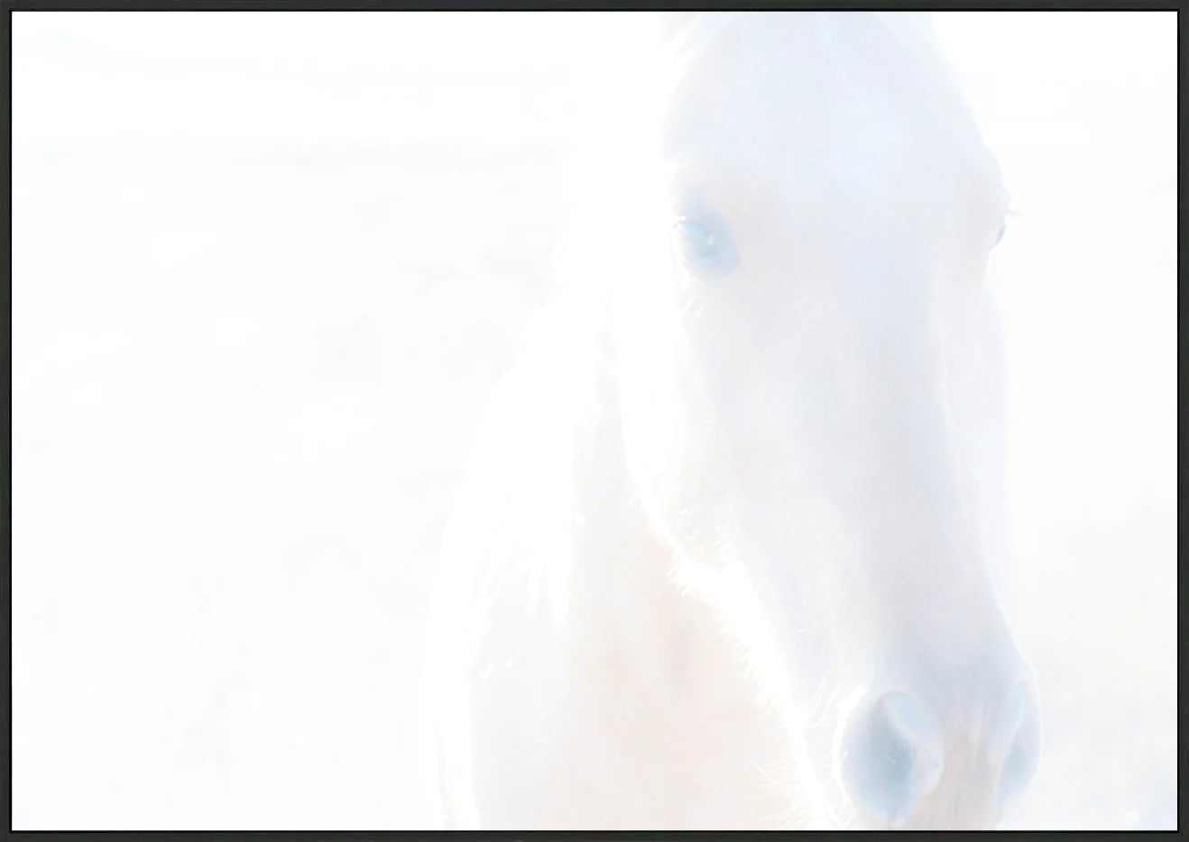 canvas_frame