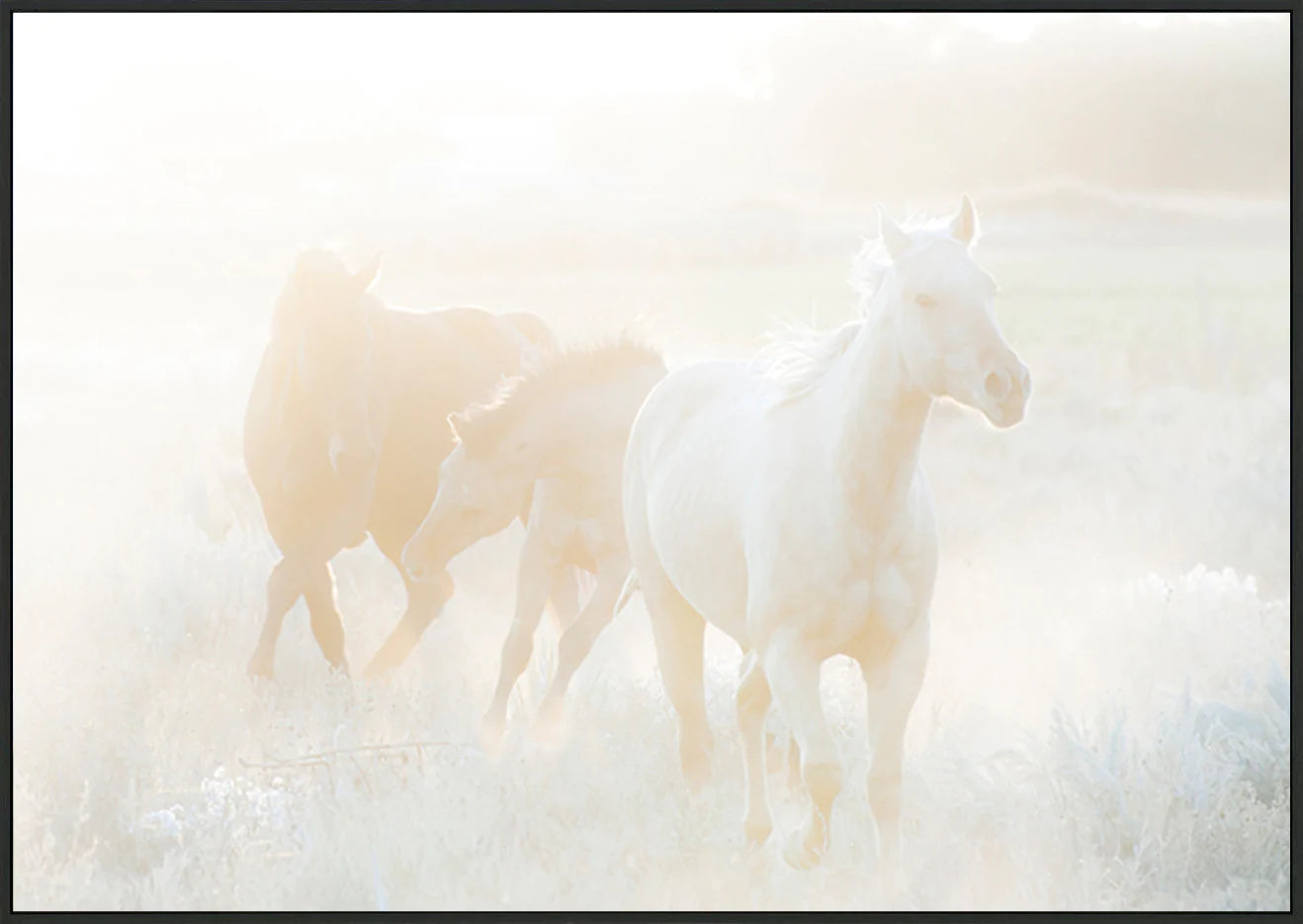 canvas_frame