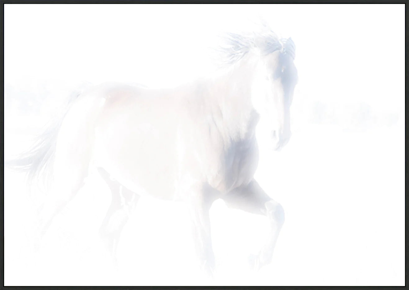 canvas_frame