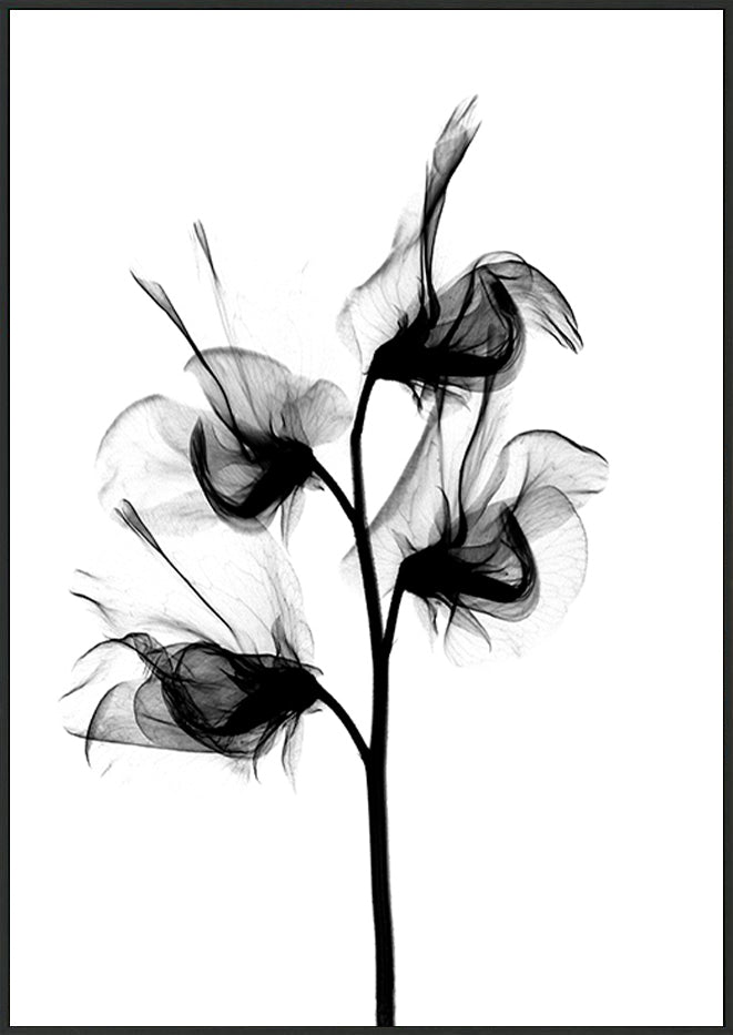 canvas_frame