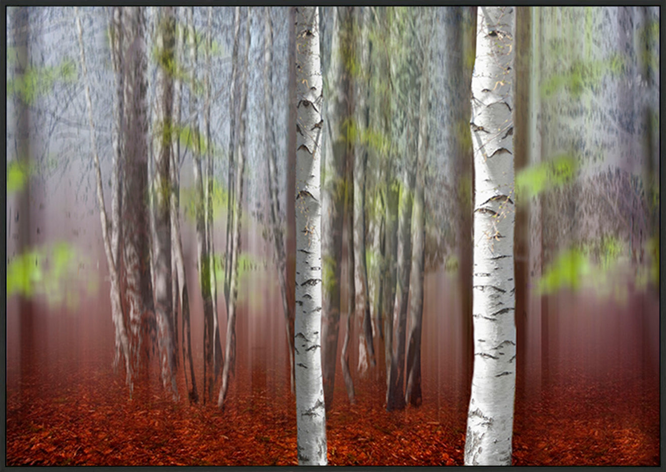 canvas_frame