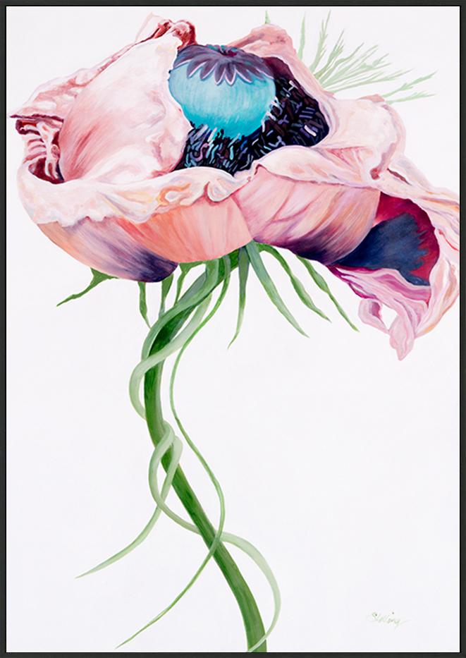 canvas_frame