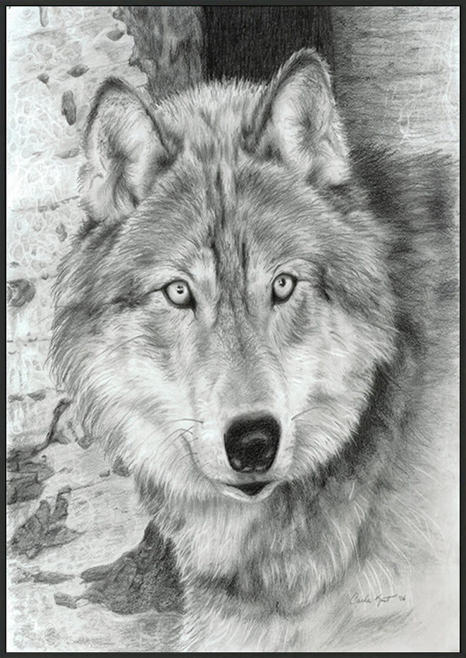 canvas_frame