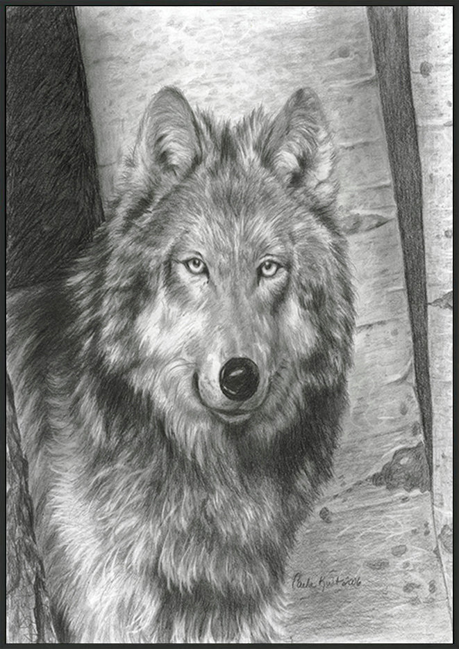 canvas_frame
