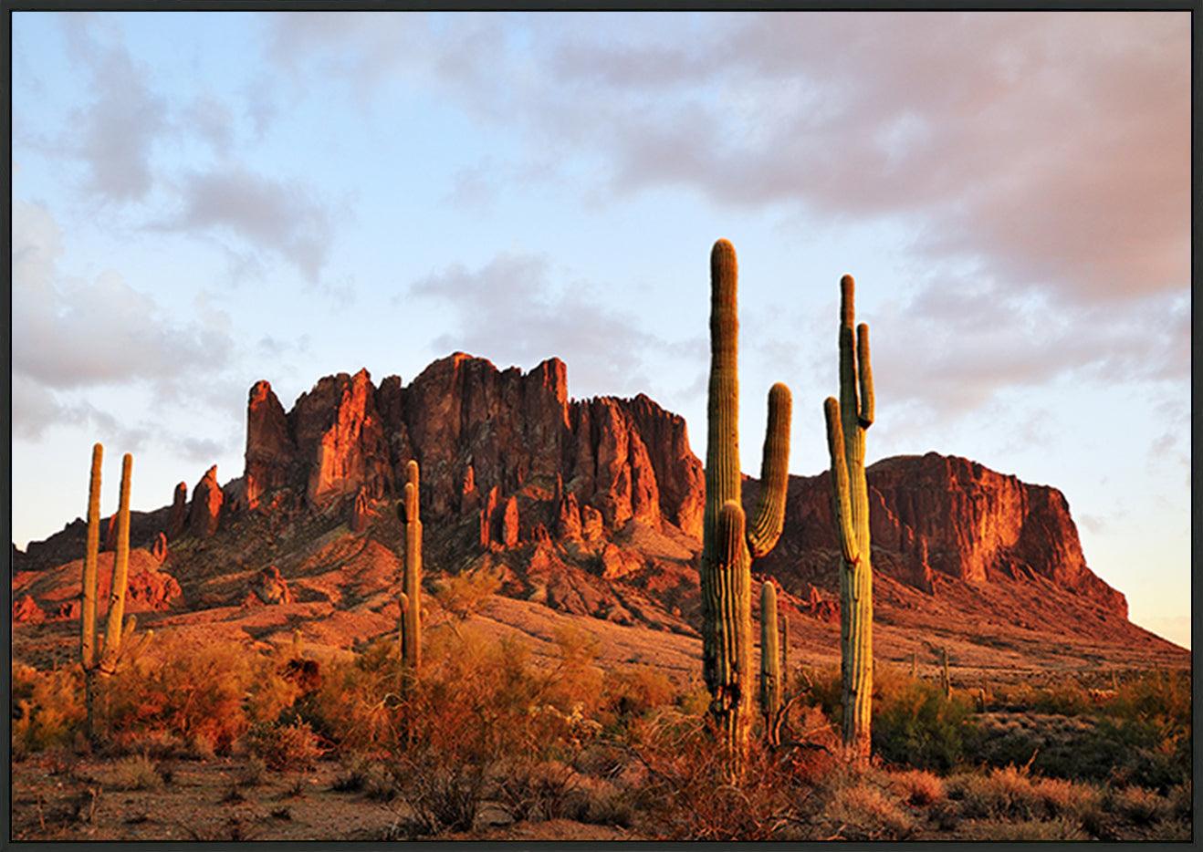 a44895753s Sunset on Superstition Mountain with cactus in desert copy - ArtFramed
