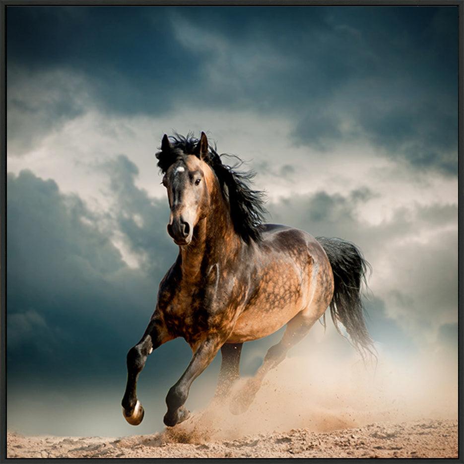 a59883082s horse running - ArtFramed