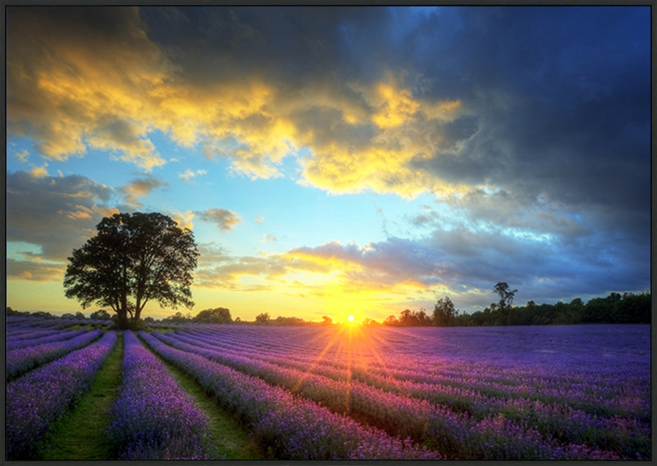 canvas_frame