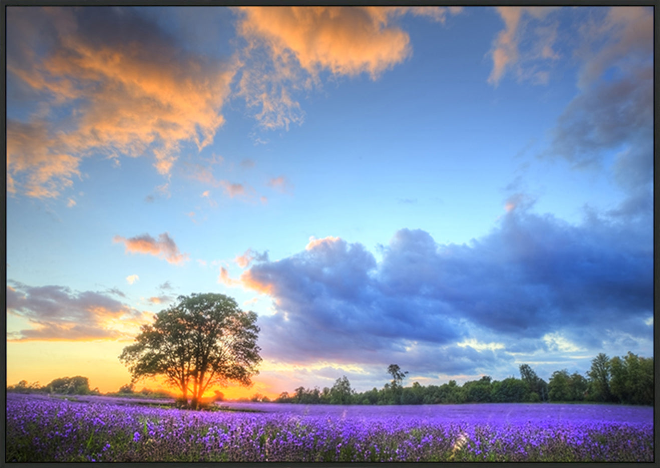 canvas_frame