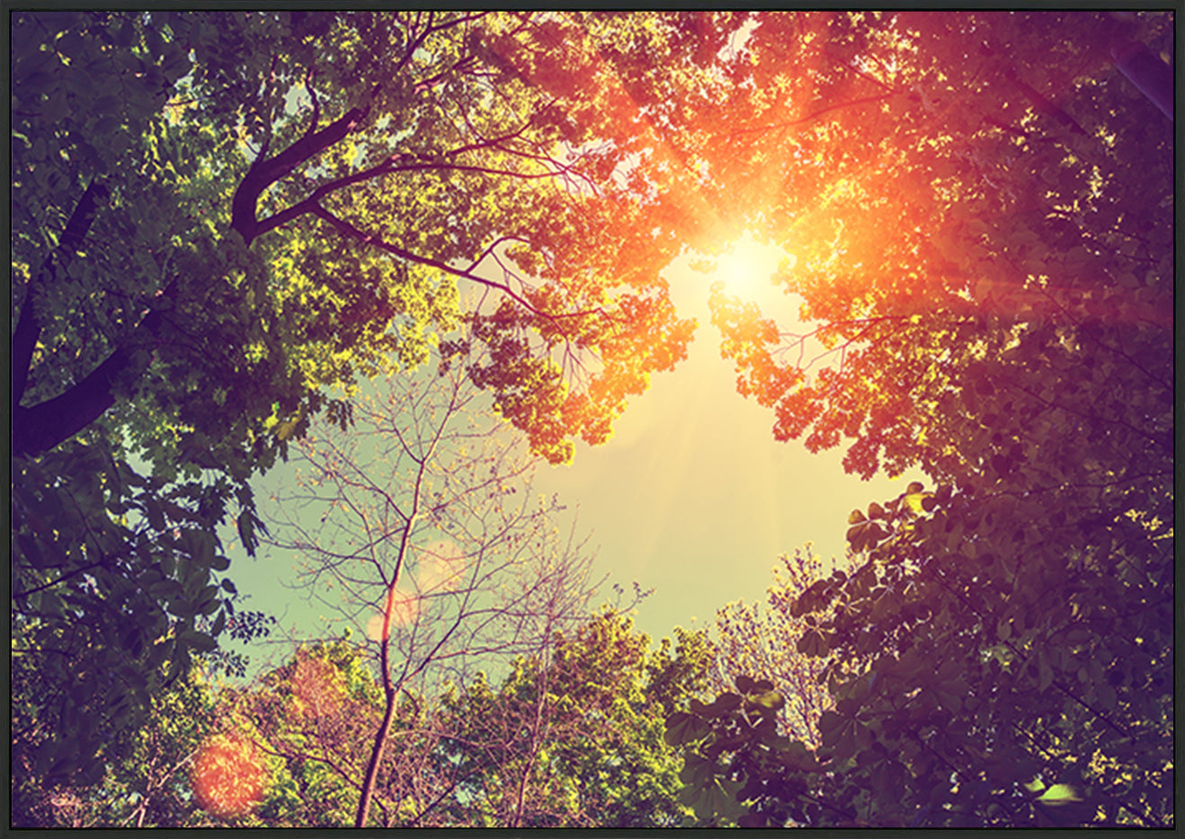 canvas_frame