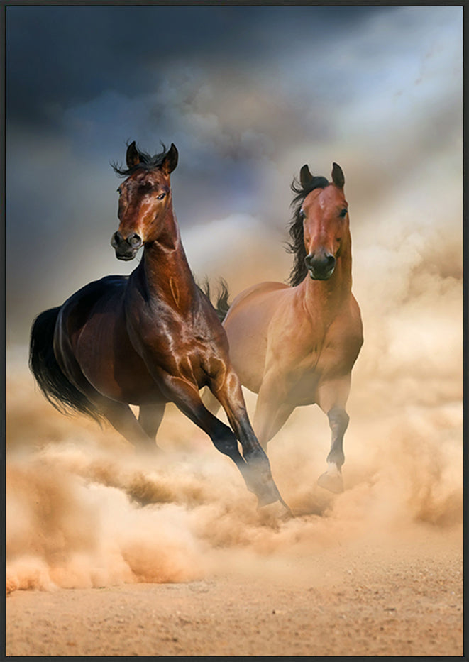 canvas_frame