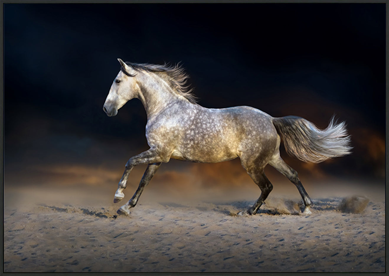 canvas_frame