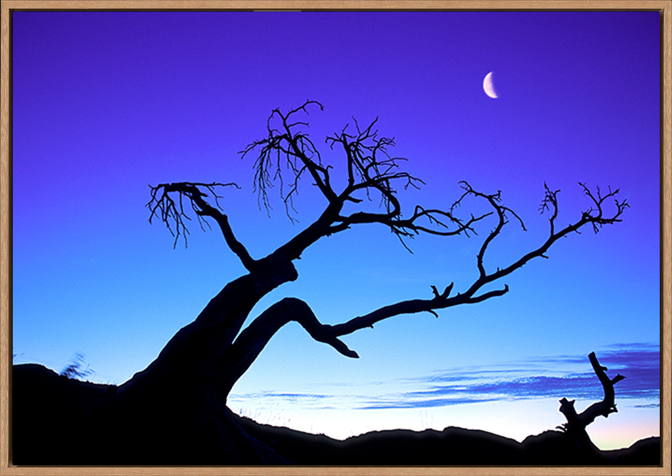 canvas_frame
