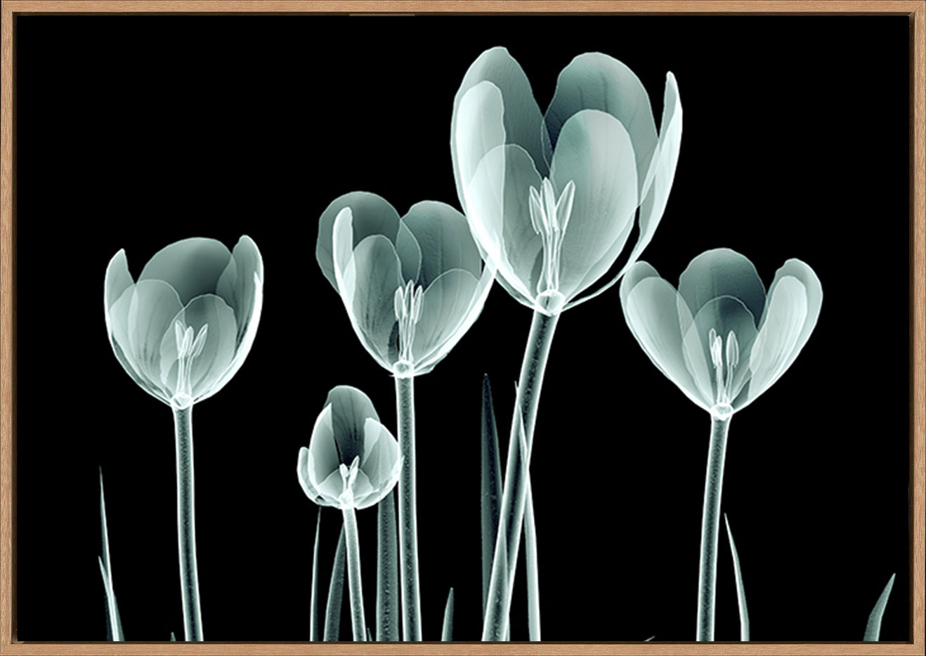 canvas_frame