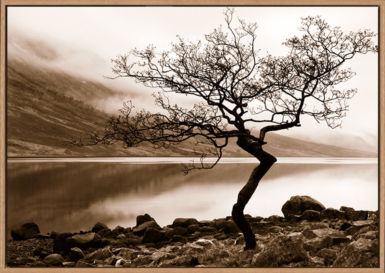 canvas_frame