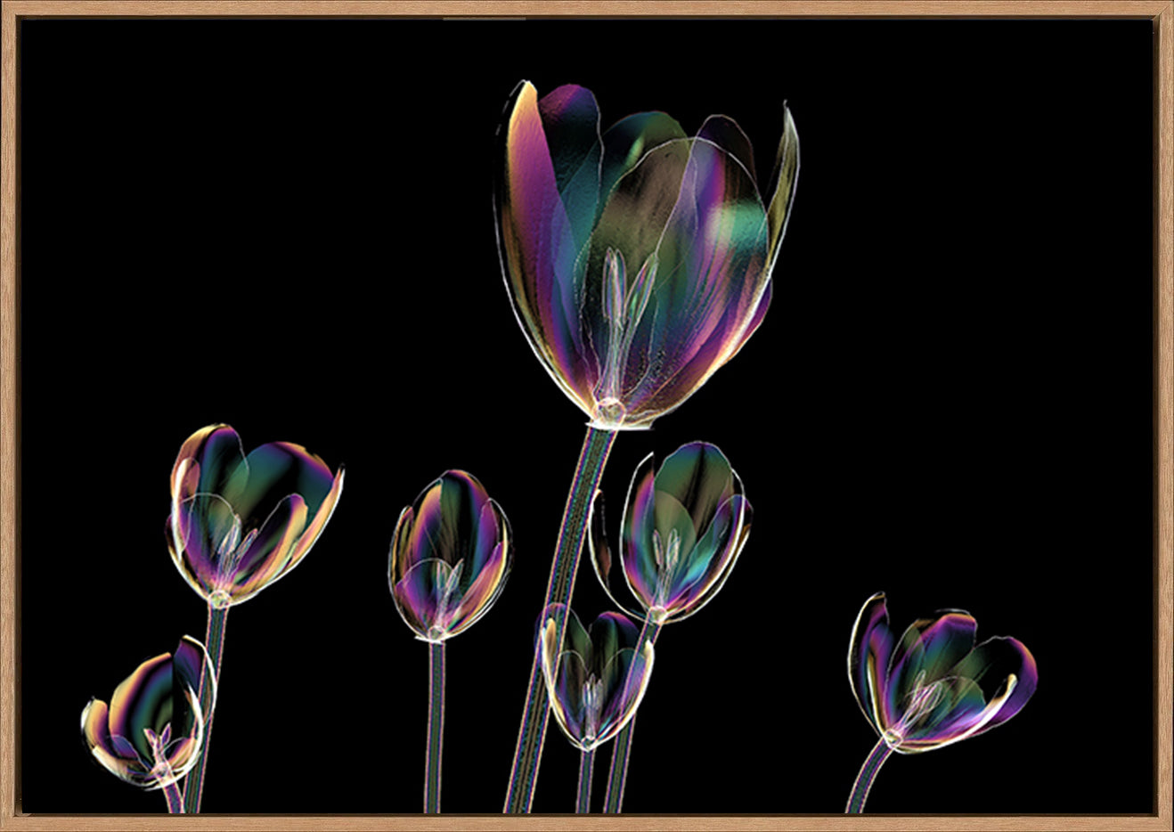 canvas_frame