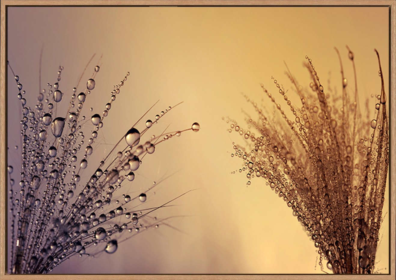 canvas_frame
