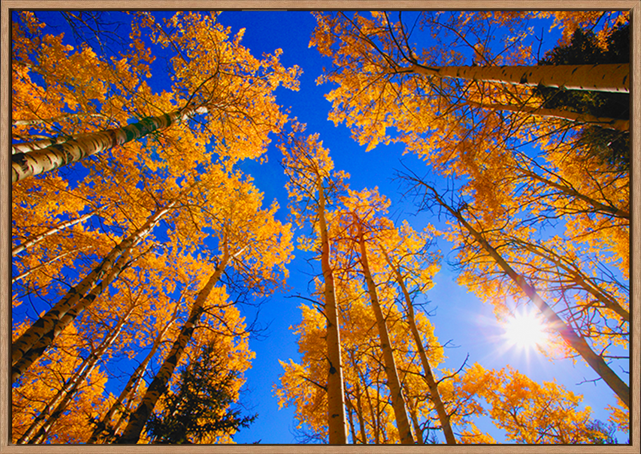 canvas_frame