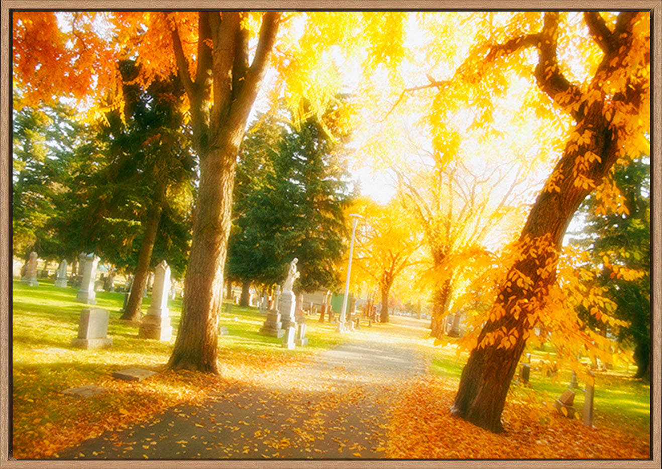canvas_frame