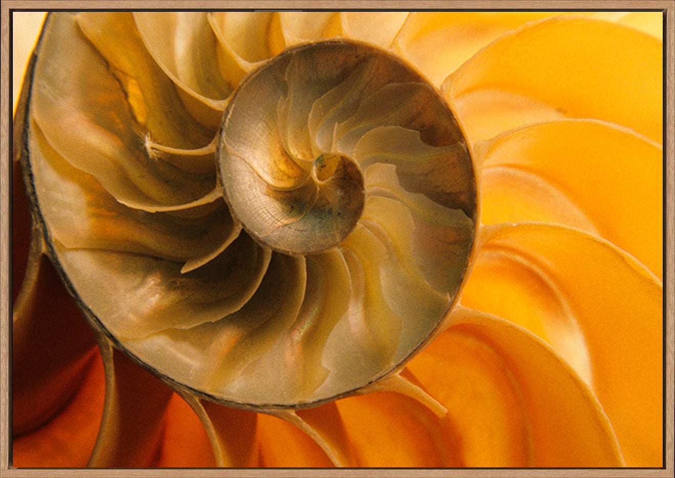 canvas_frame