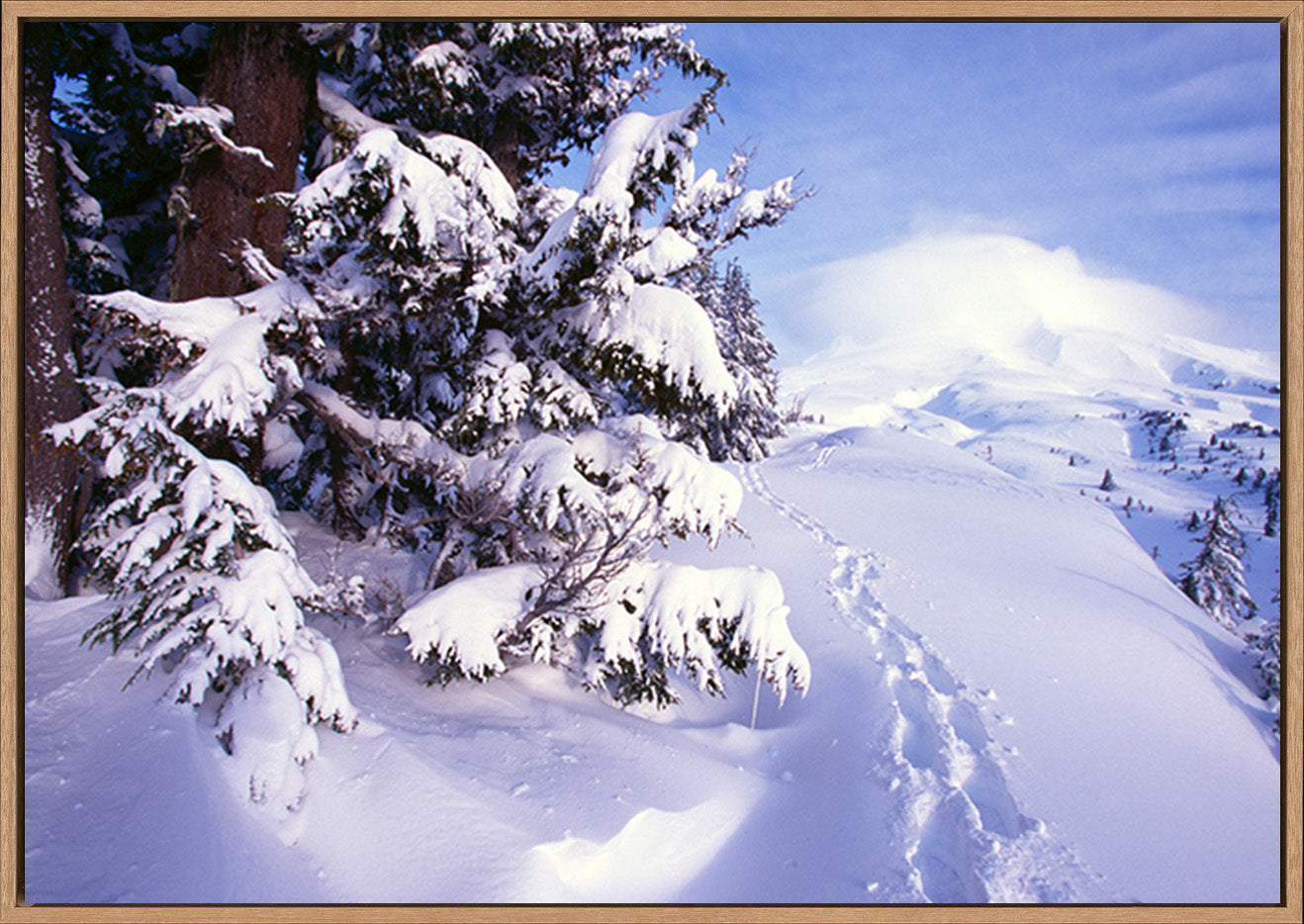 canvas_frame
