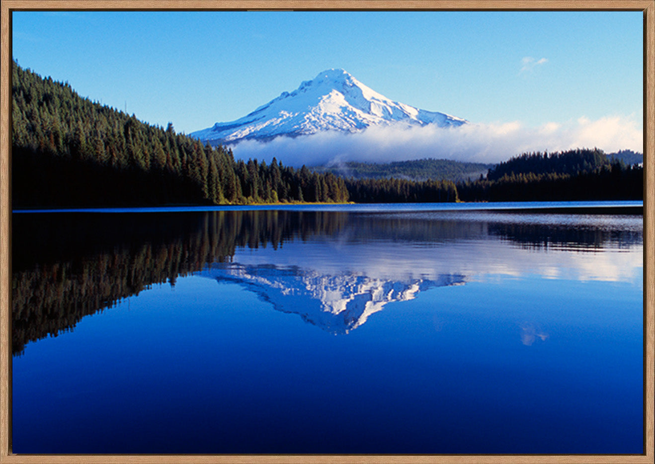 canvas_frame