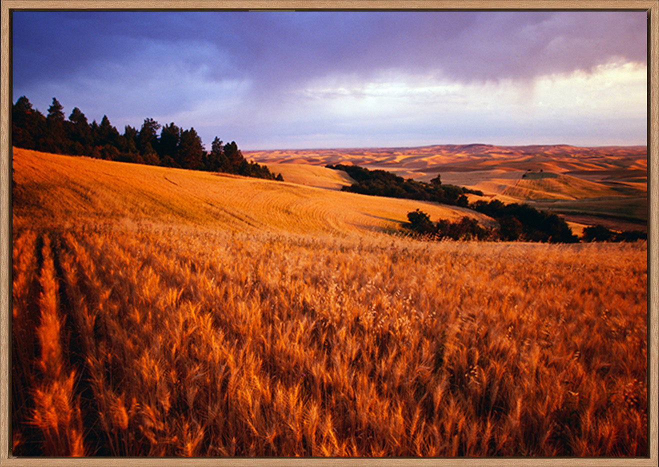 canvas_frame