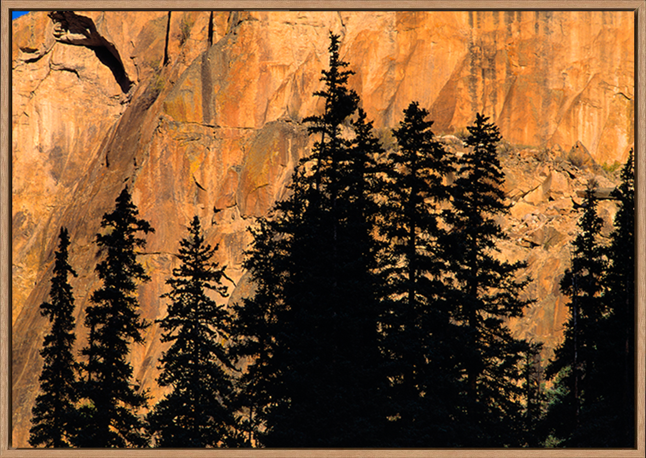 canvas_frame