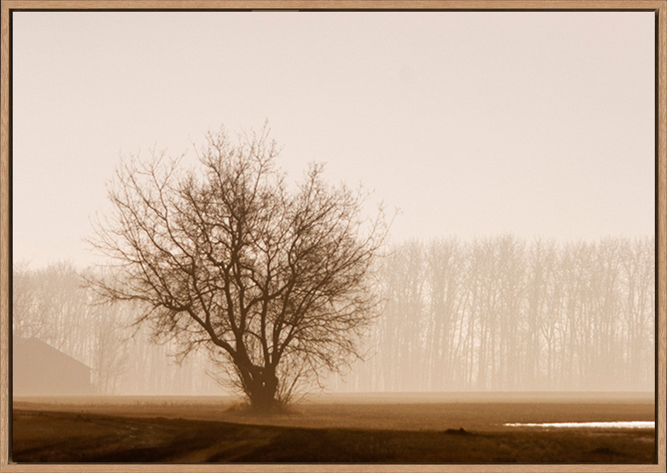 canvas_frame
