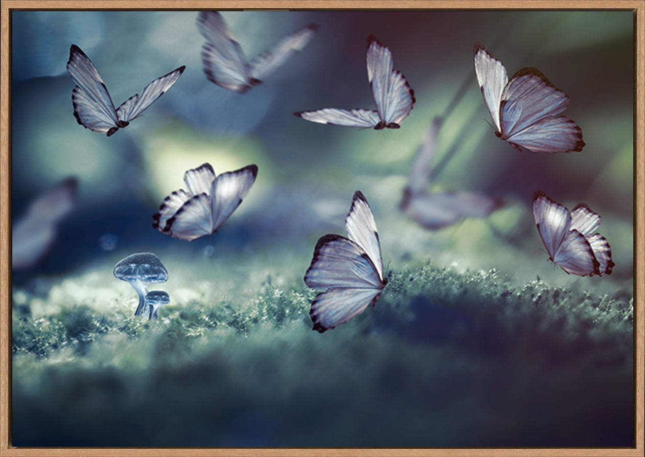 canvas_frame