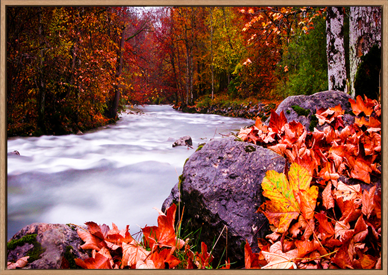 canvas_frame