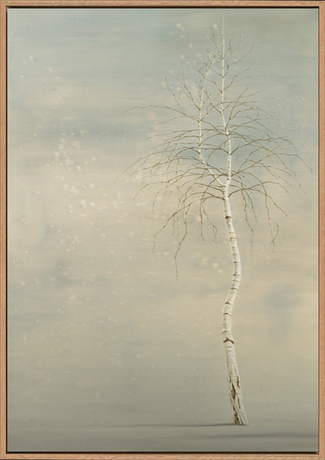 canvas_frame