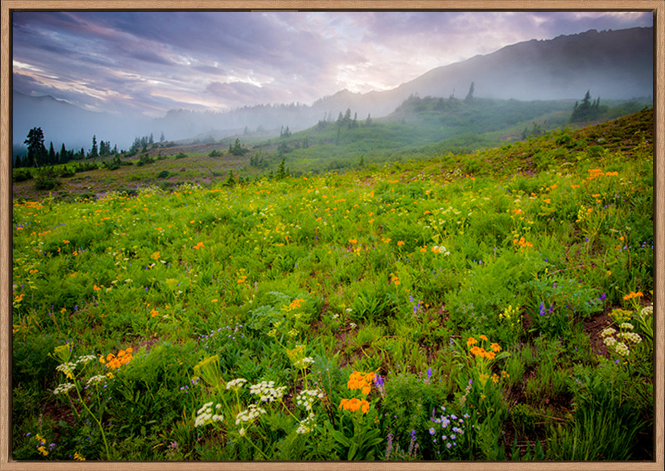 canvas_frame