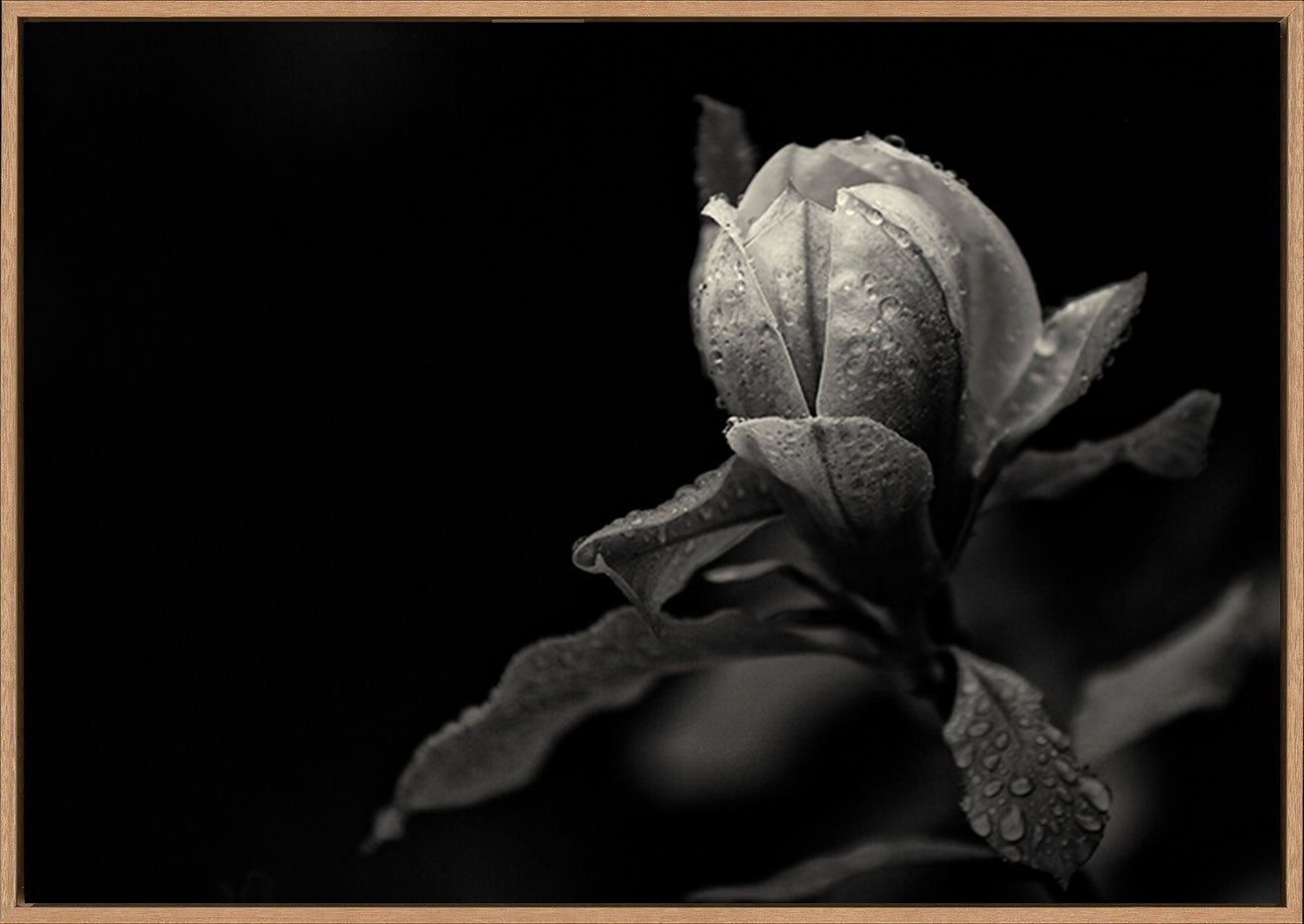 canvas_frame