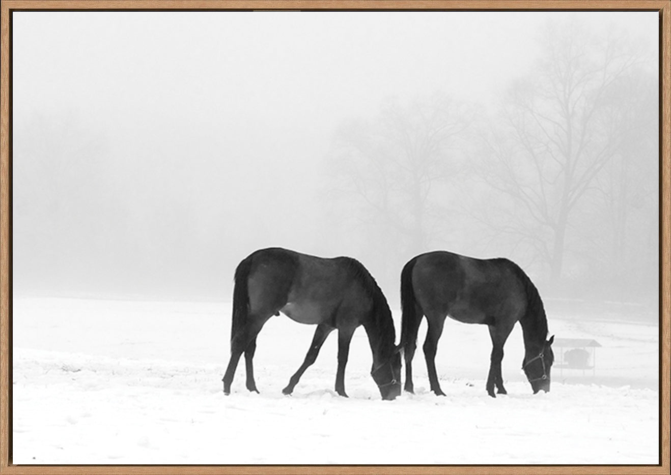 canvas_frame
