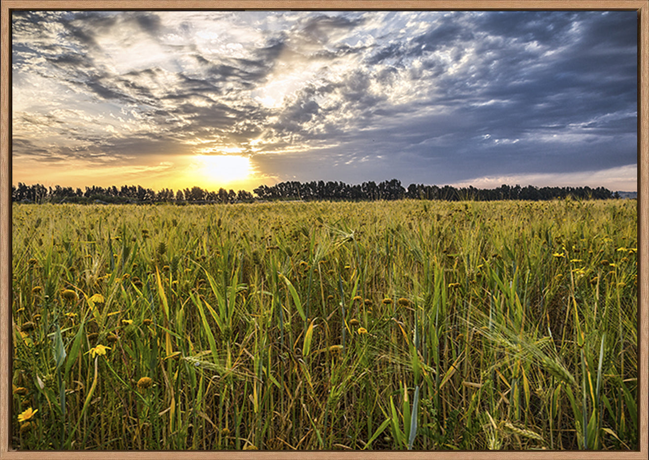 canvas_frame