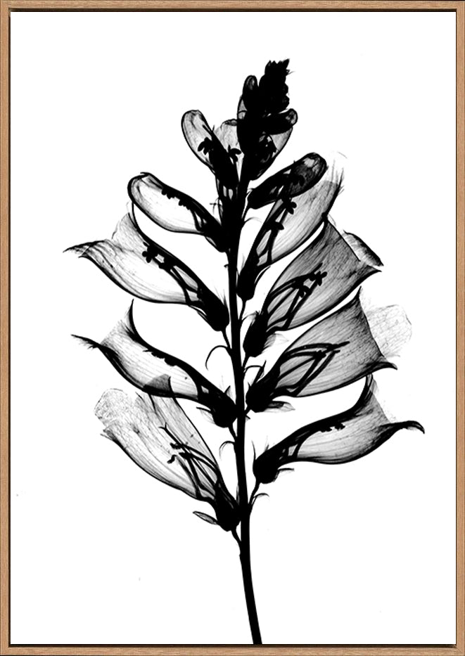 canvas_frame