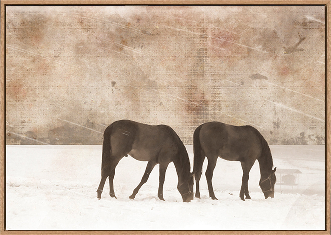 canvas_frame