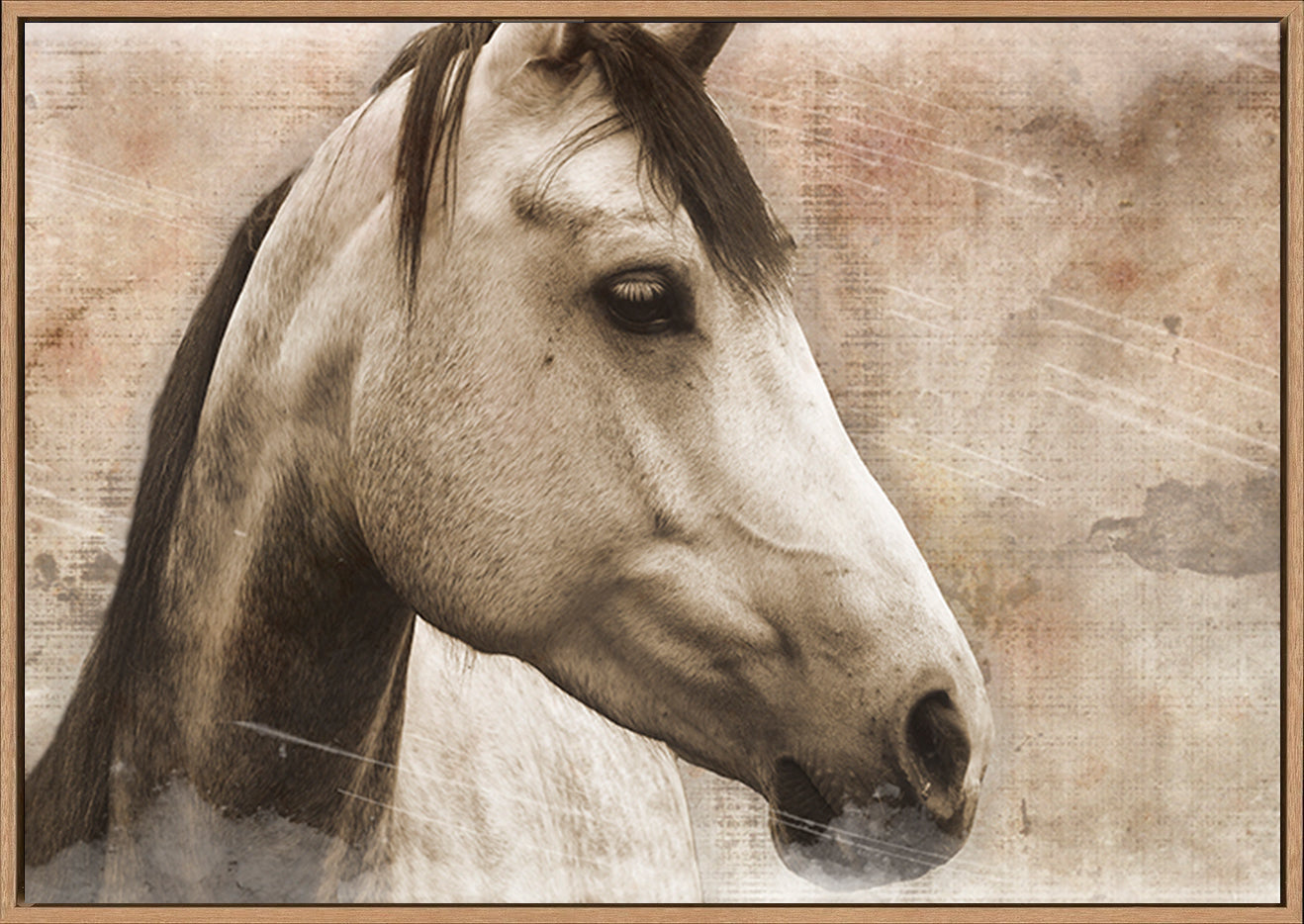 canvas_frame