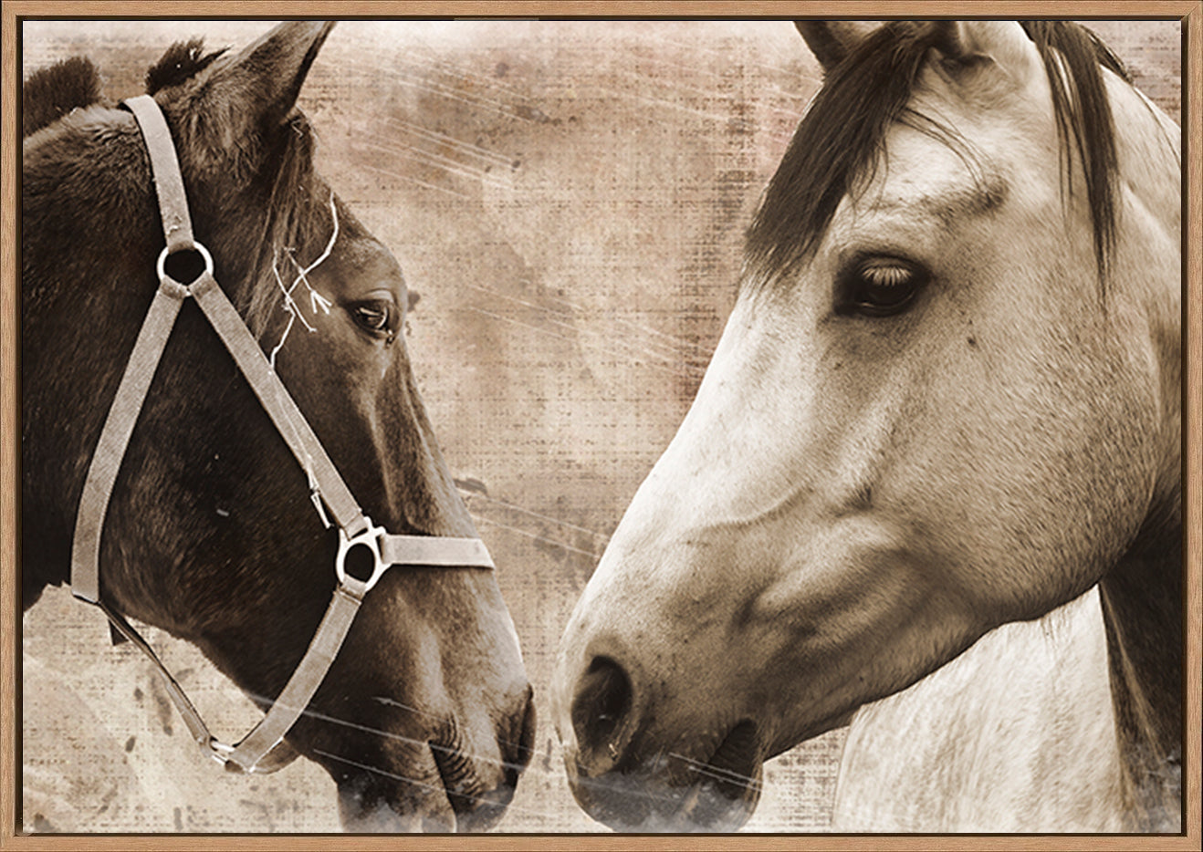 canvas_frame