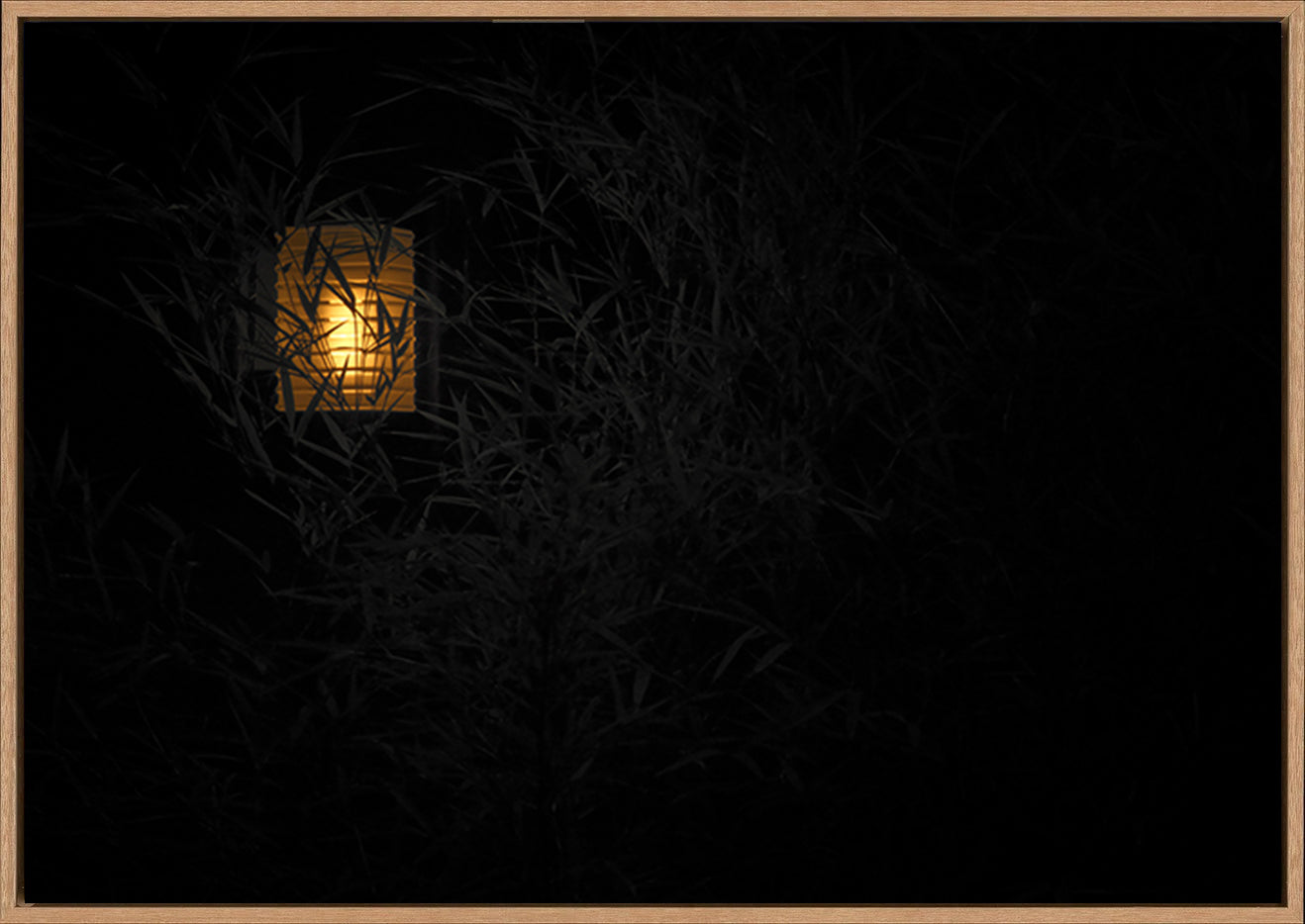 canvas_frame