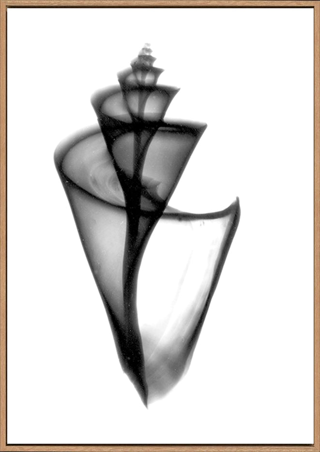 canvas_frame